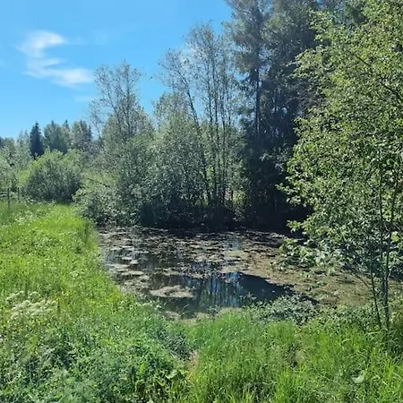 Kotoisa Moekki Paljulla Ja Puusaunalla Orimattila