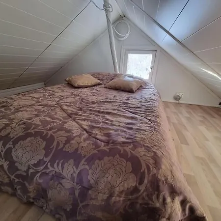 Kotoisa Moekki Paljulla Ja Puusaunalla Orimattila