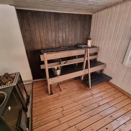 Kotoisa Moekki Paljulla Ja Puusaunalla