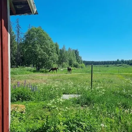 샬레 Kotoisa Moekki Paljulla Ja Puusaunalla *